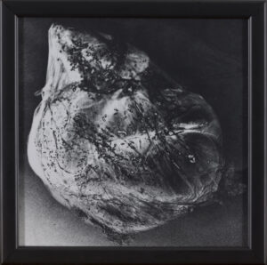 Ema Širec: Brez naslova - iz serije Meat (z okvirjem)