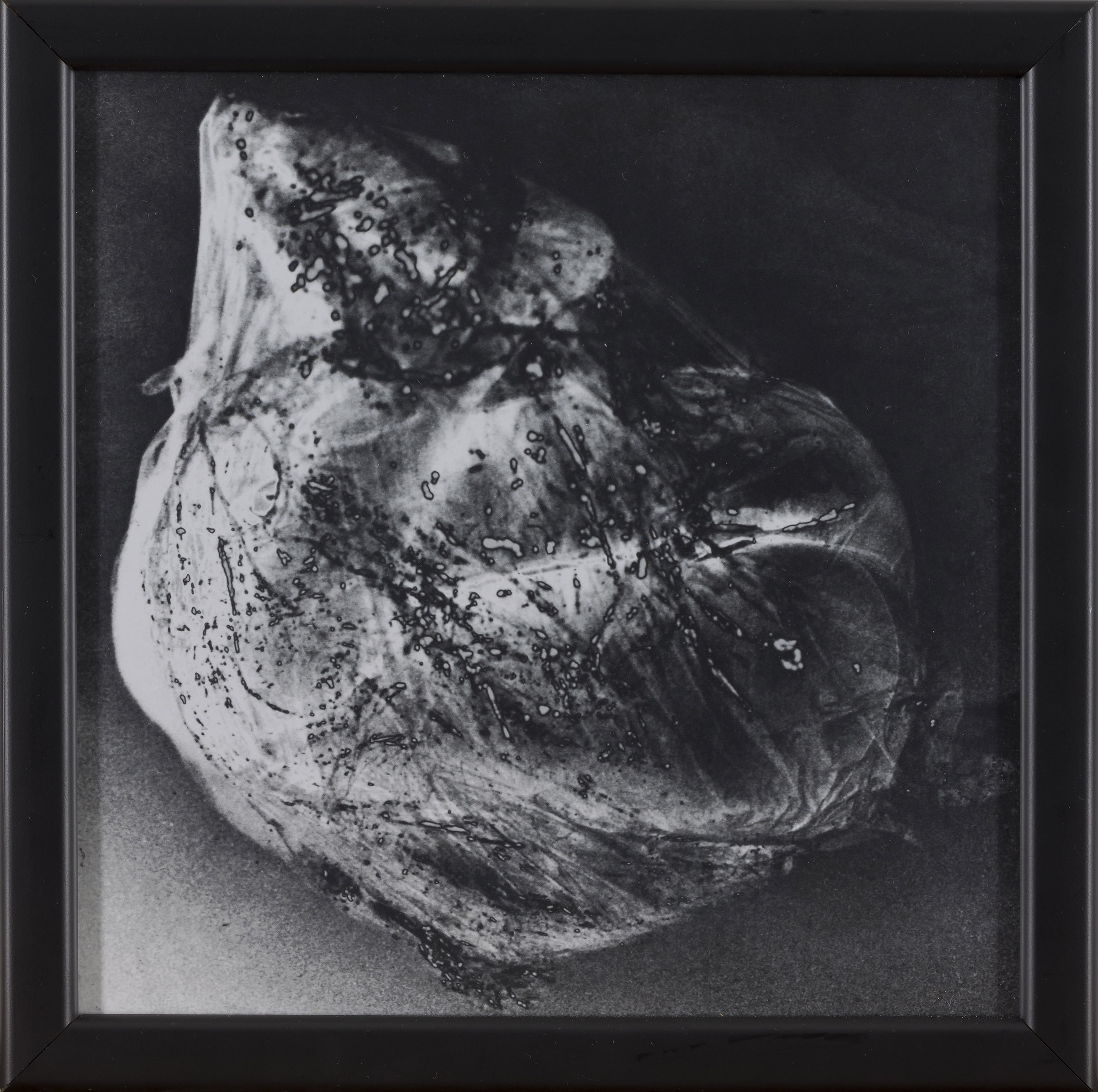 Ema Širec: Brez naslova - iz serije Meat (z okvirjem)