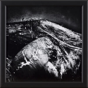 Ema Širec: Brez naslova II - iz serije Meat (z okvirjem)