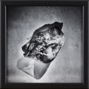 Ema Širec: Brez naslova III - iz serije Meat (z okvirjem)