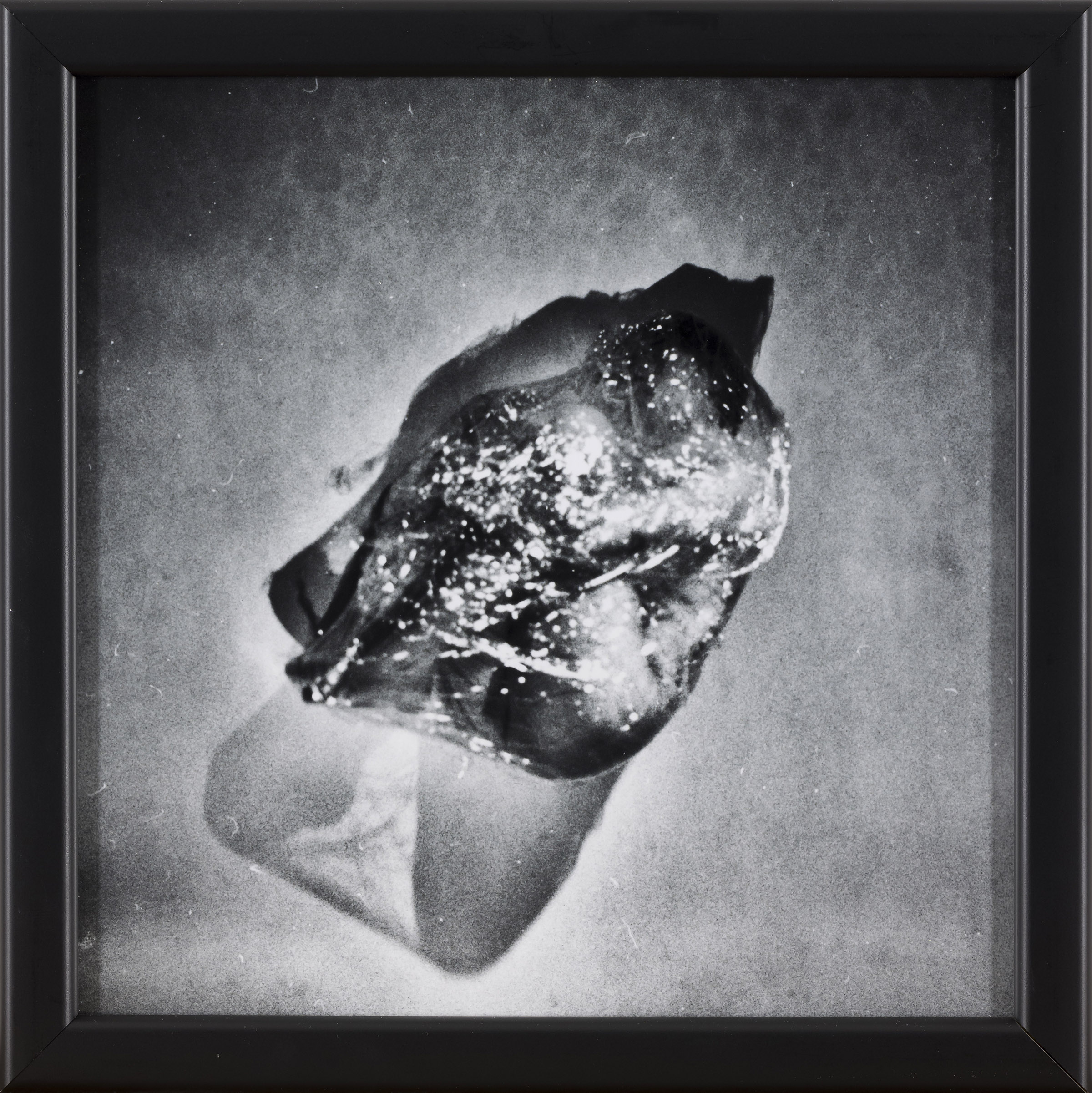 Ema Širec: Brez naslova III - iz serije Meat (z okvirjem)