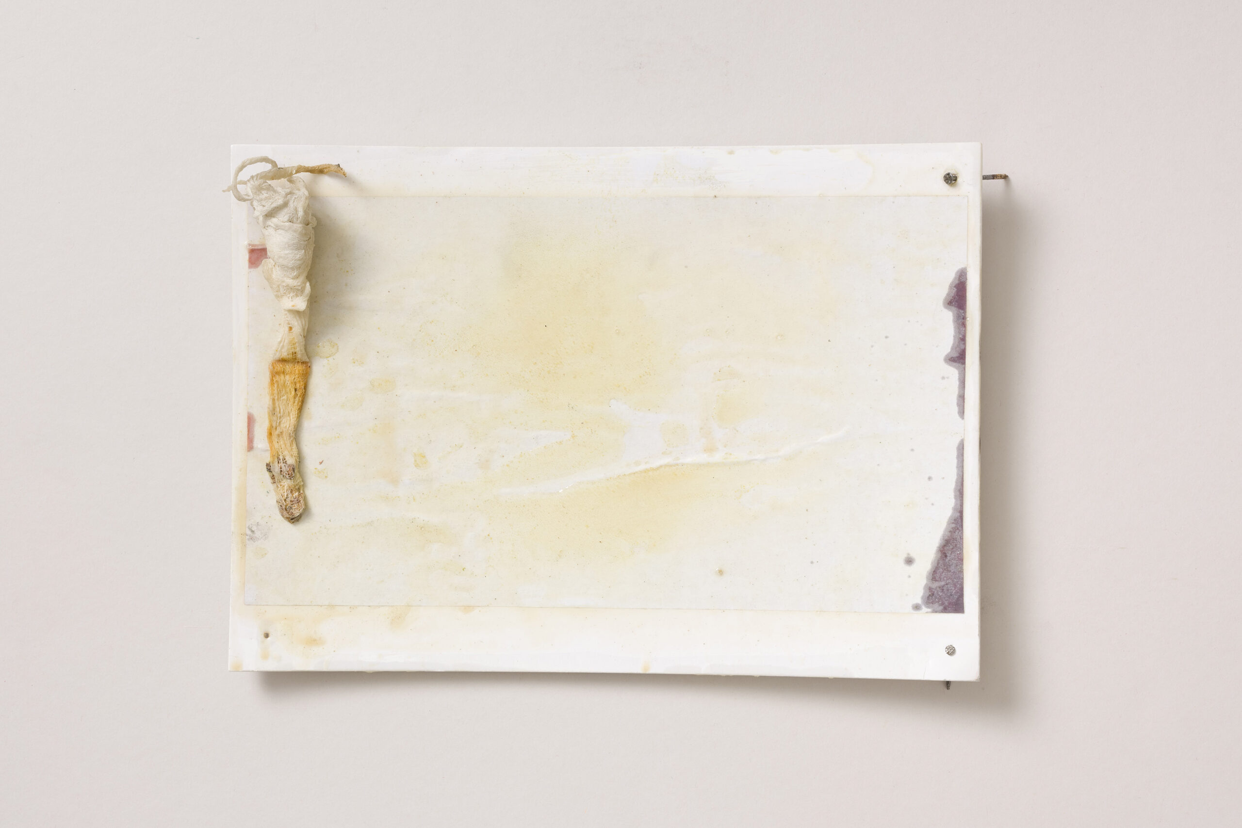 Kaja Podgoršek: Kok prstov vidš?