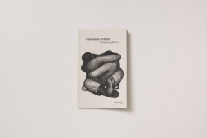 Marko Šajn: Podporni stebri