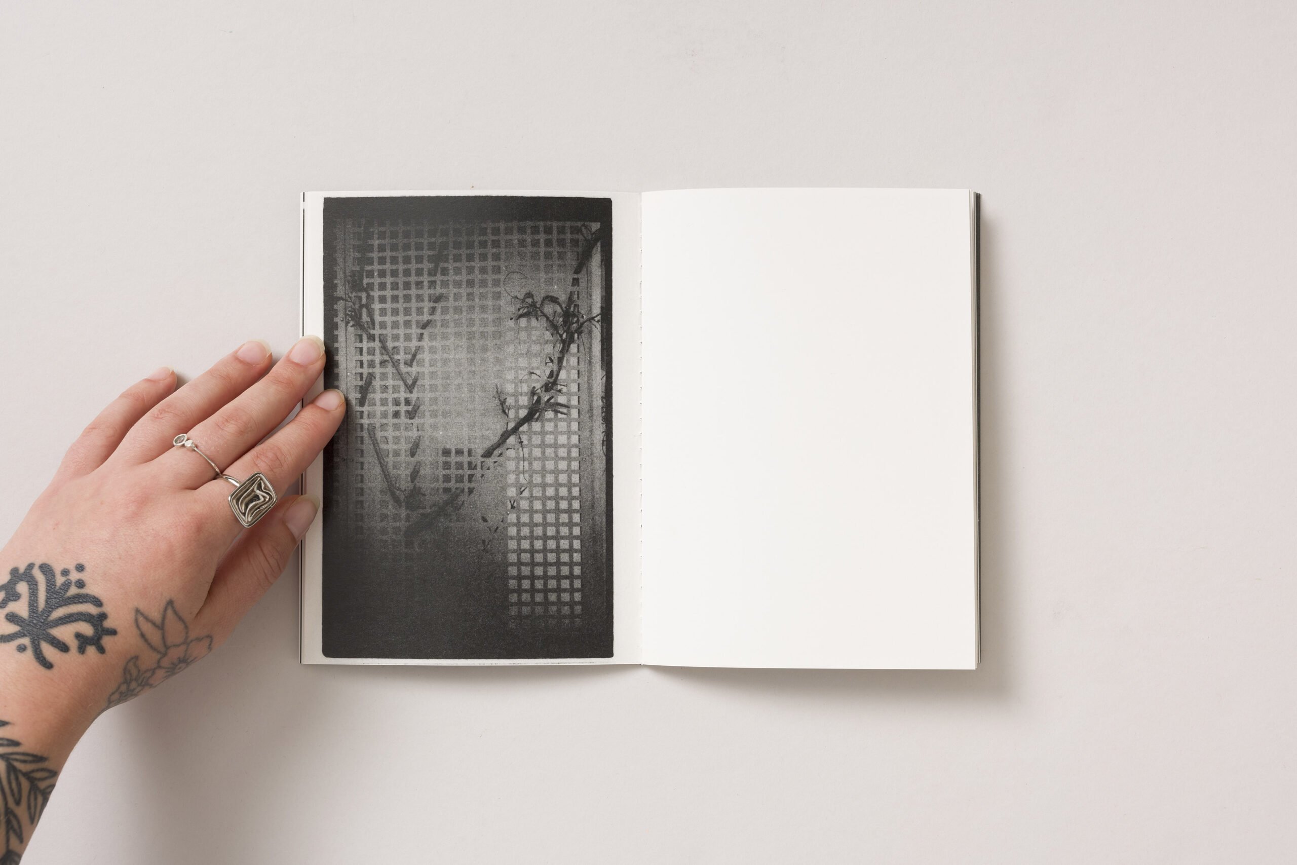 Peter Fettich: FLORA LAIBACHENSIS - slika 5