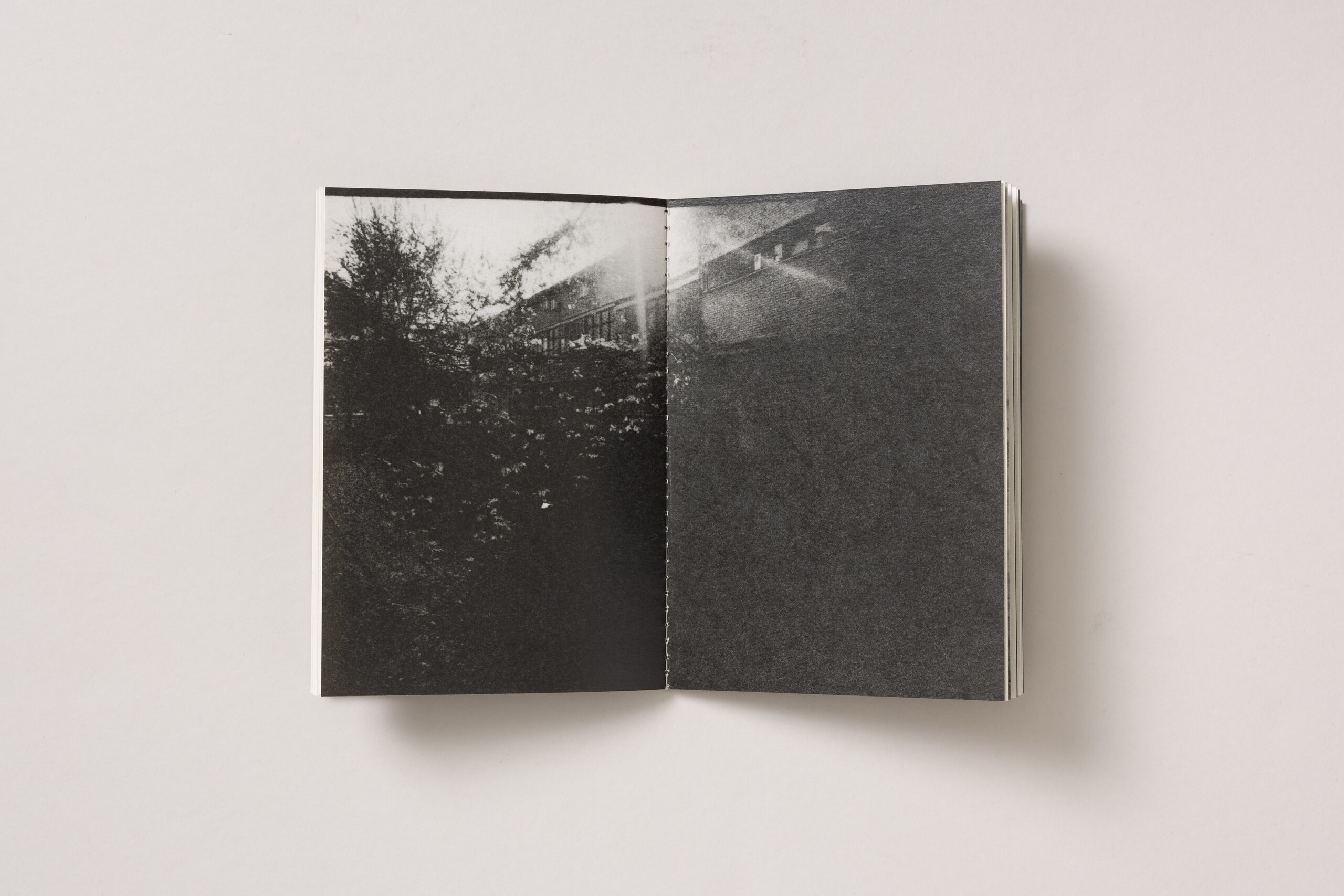 Peter Fettich: FLORA LAIBACHENSIS - slika 4