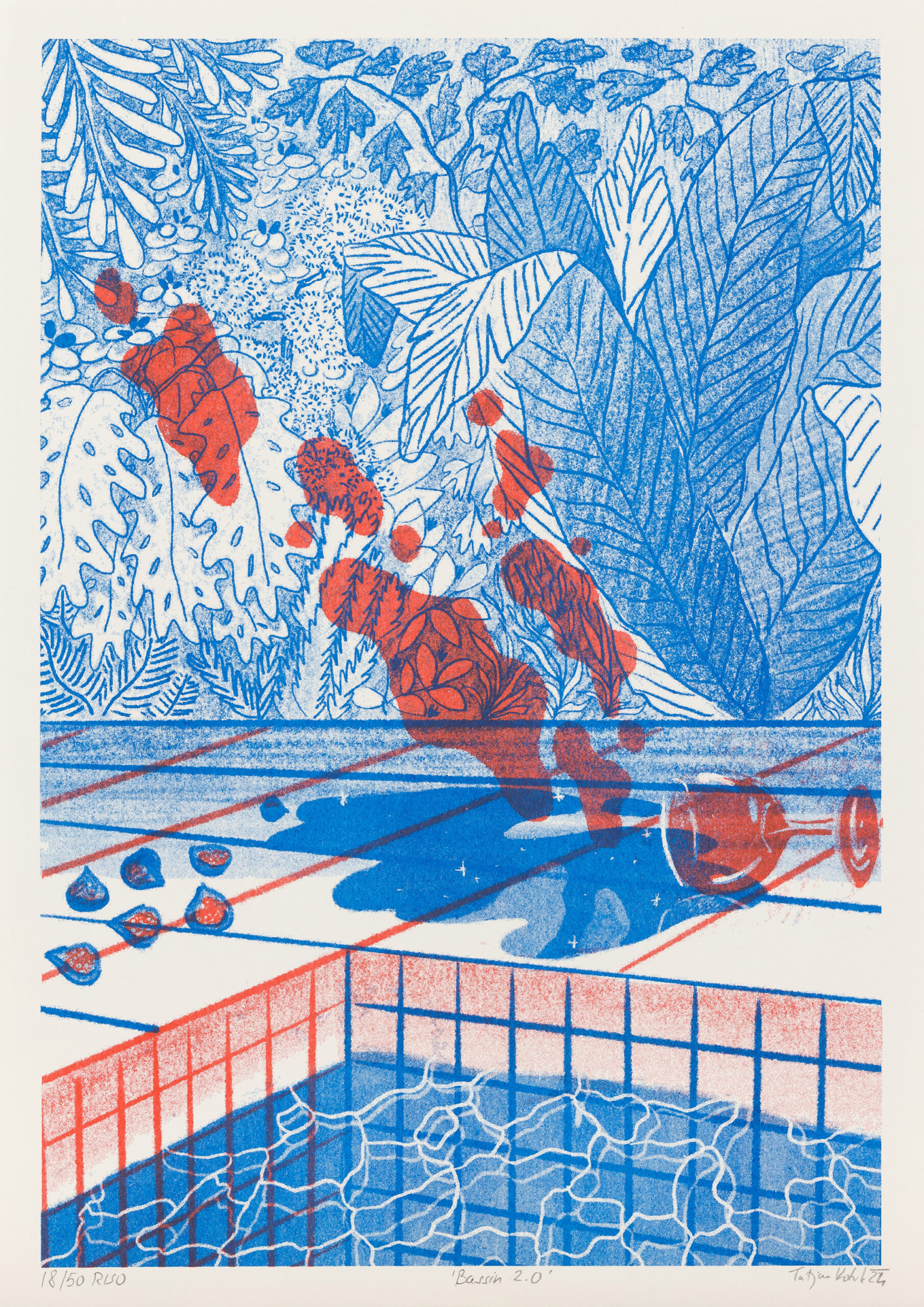 Tatjana Kotnik: Bassin