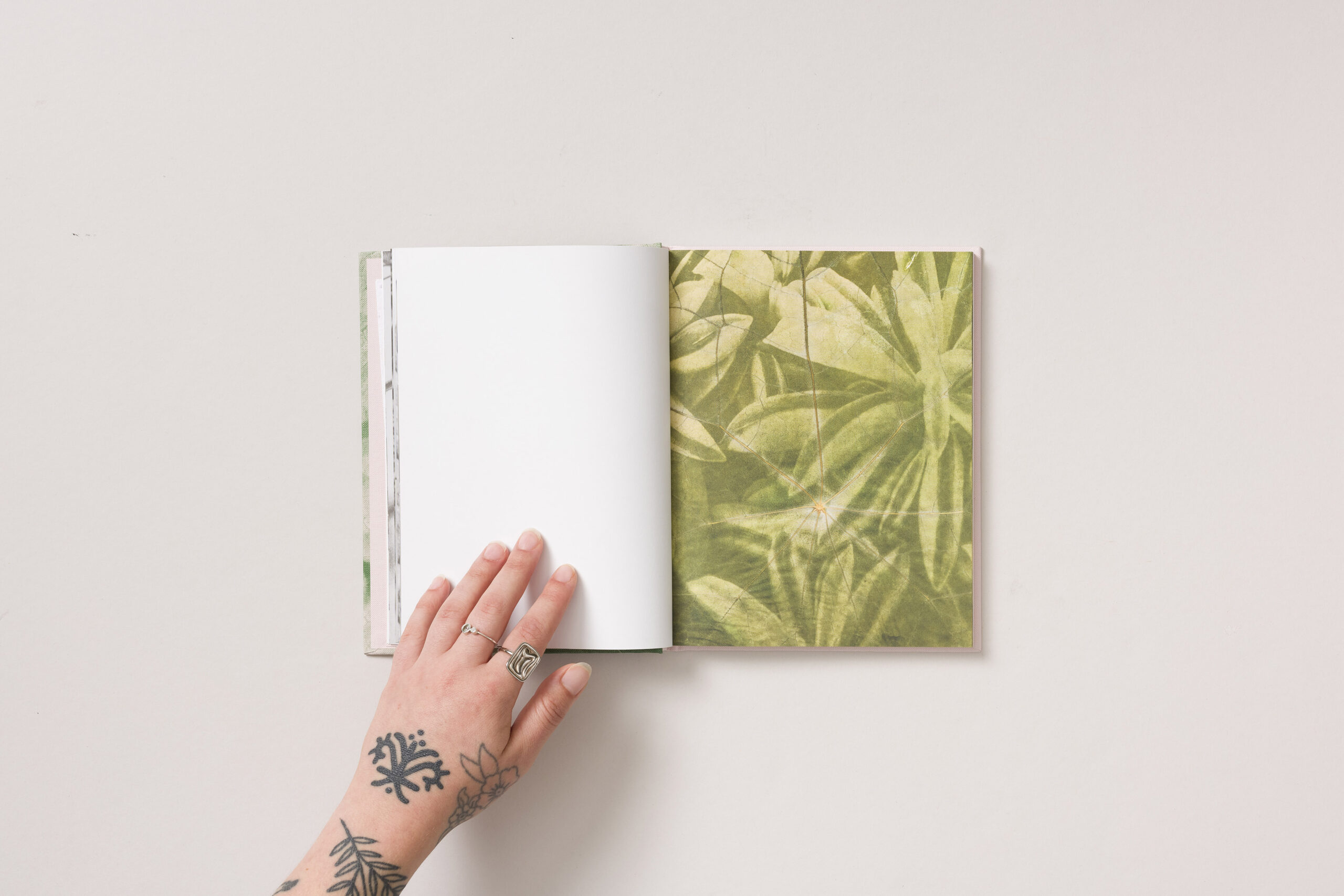 Tilyen Mucik: Rastlinsko - slika 4