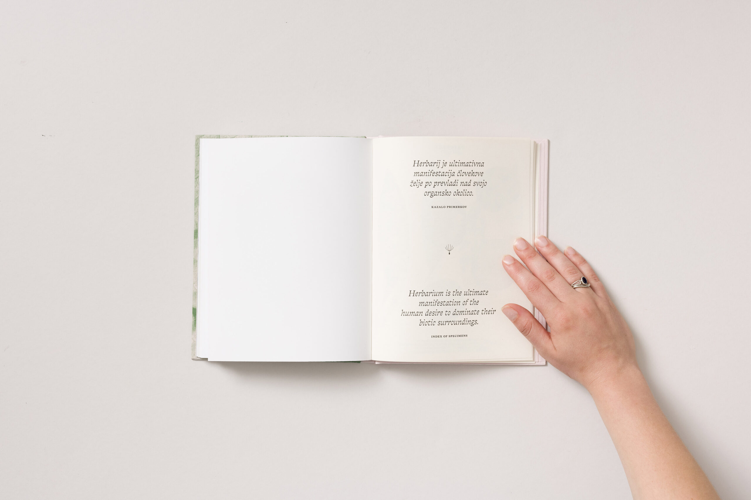 Tilyen Mucik: Rastlinsko - slika 2