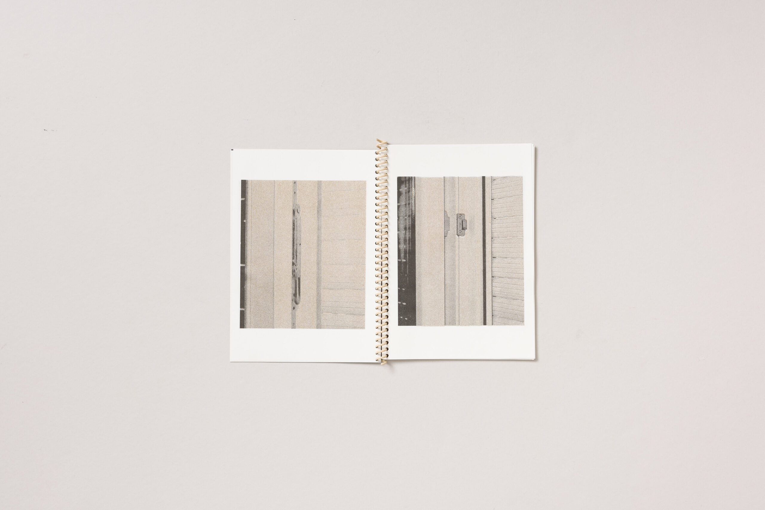 Tim Topić: Diptih - slika 2