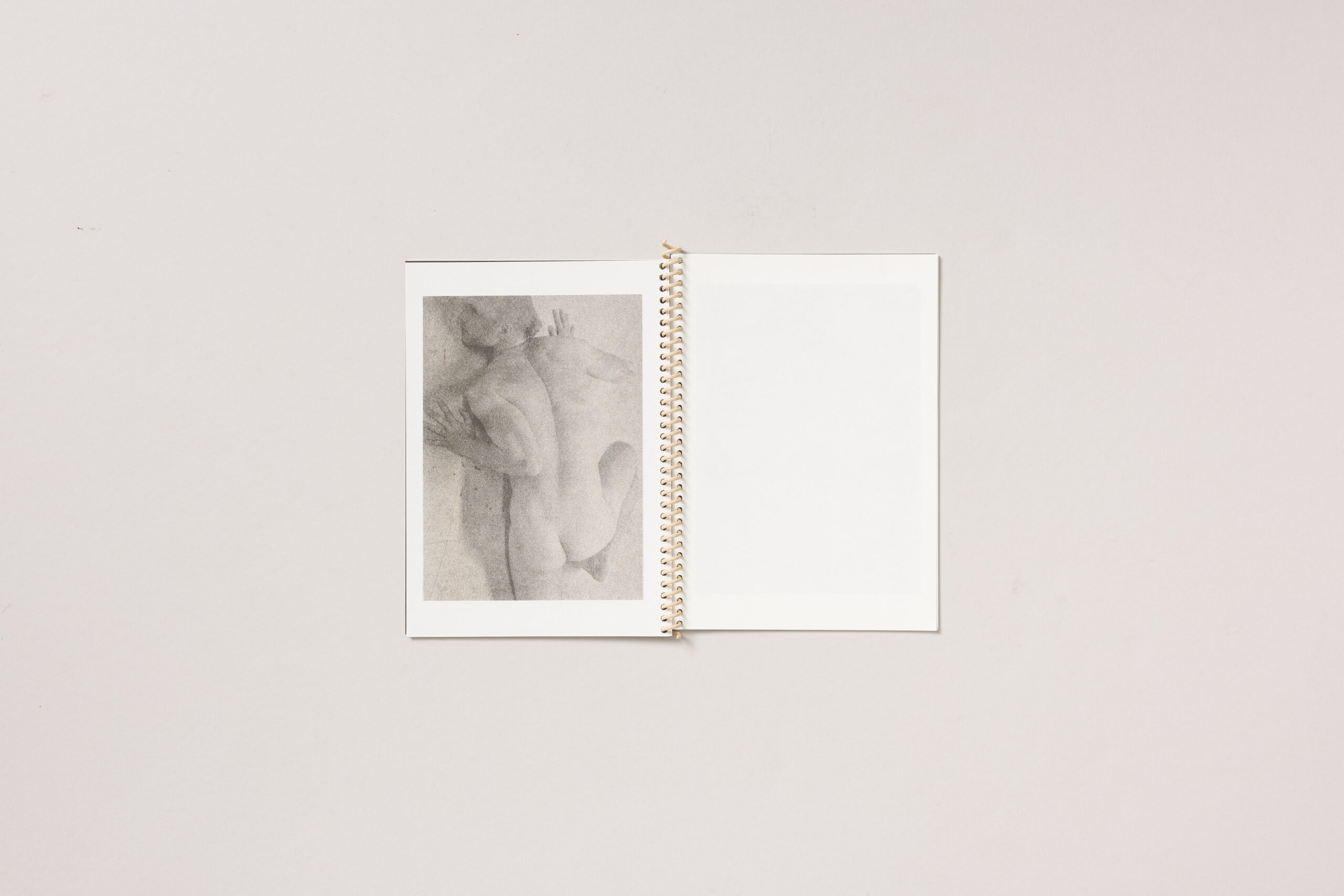 Tim Topić: Diptih - slika 4