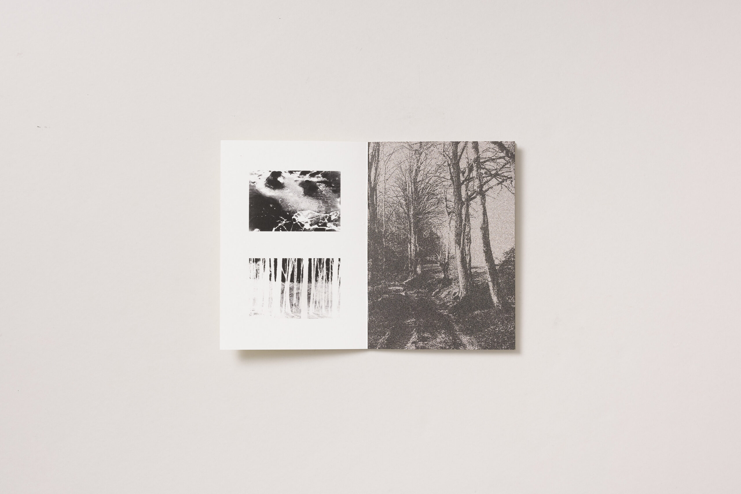 Tinkara Petrič Milič: Glavni sprehod - slika 2