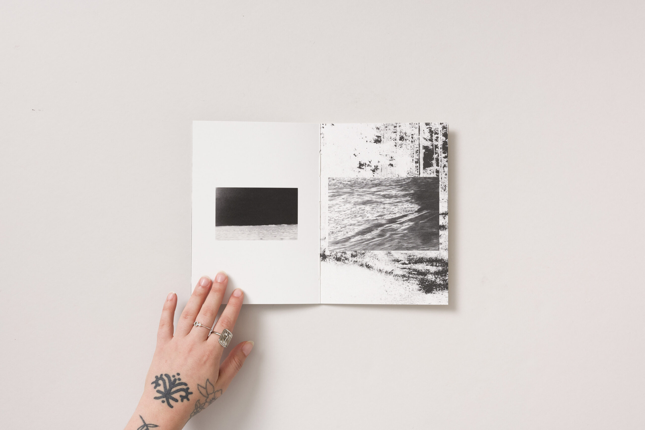 Tinkara Petrič Milič: Glavni sprehod - slika 5