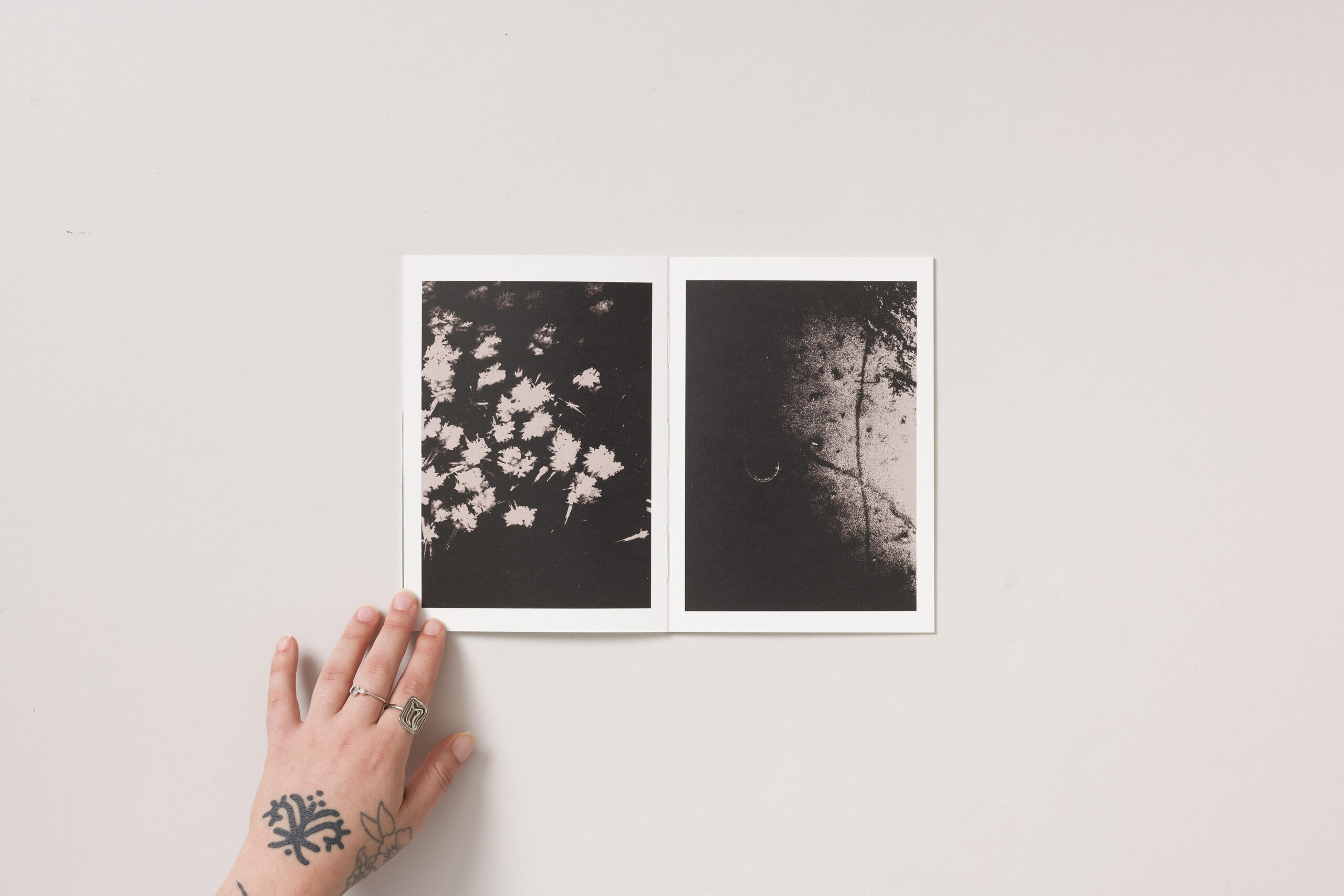 Tinkara Petrič Milič: Glavni sprehod - slika 4