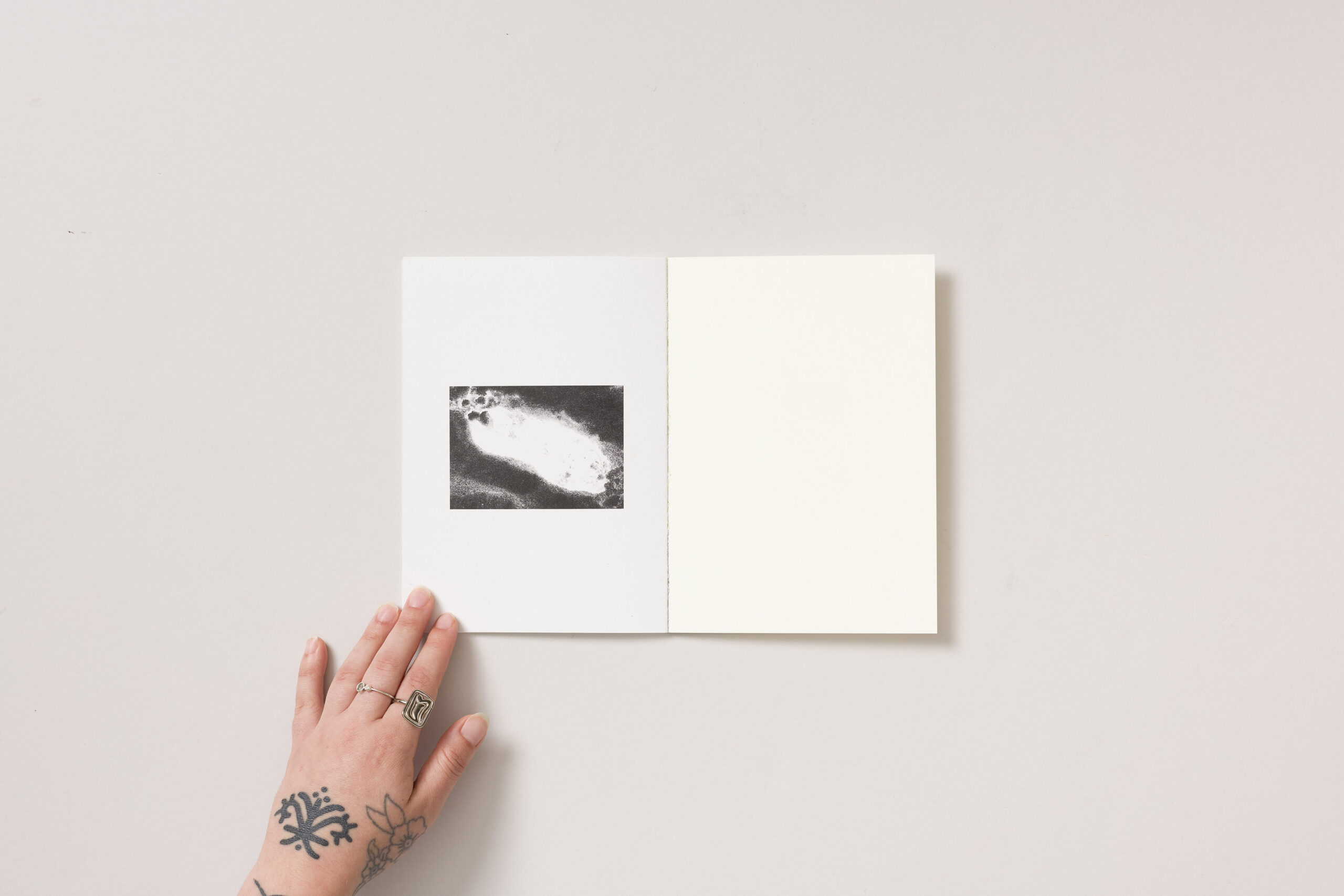 Tinkara Petrič Milič: Glavni sprehod - slika 3