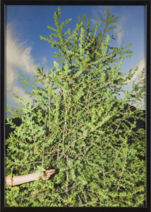 Tisa Praprotnik: touch it feel it shine (z okvirjem)