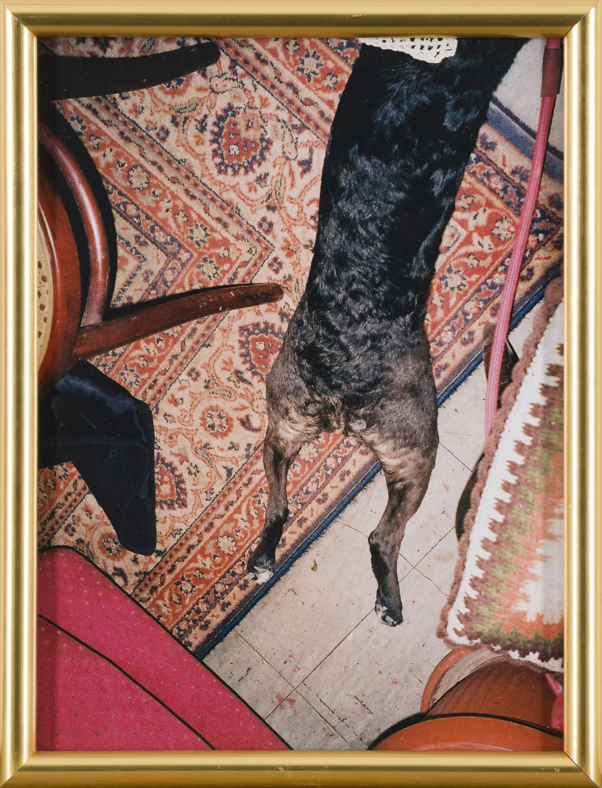 Urša Rahne: Senka - slika 2