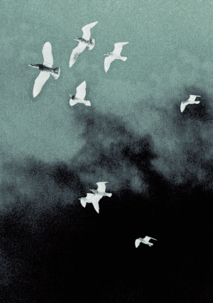 Jovana Đukić x boeback (appointMENT 7.0)