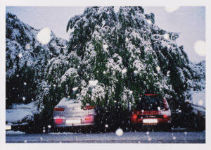 Najlepše mesto na svetu: Razglednica III