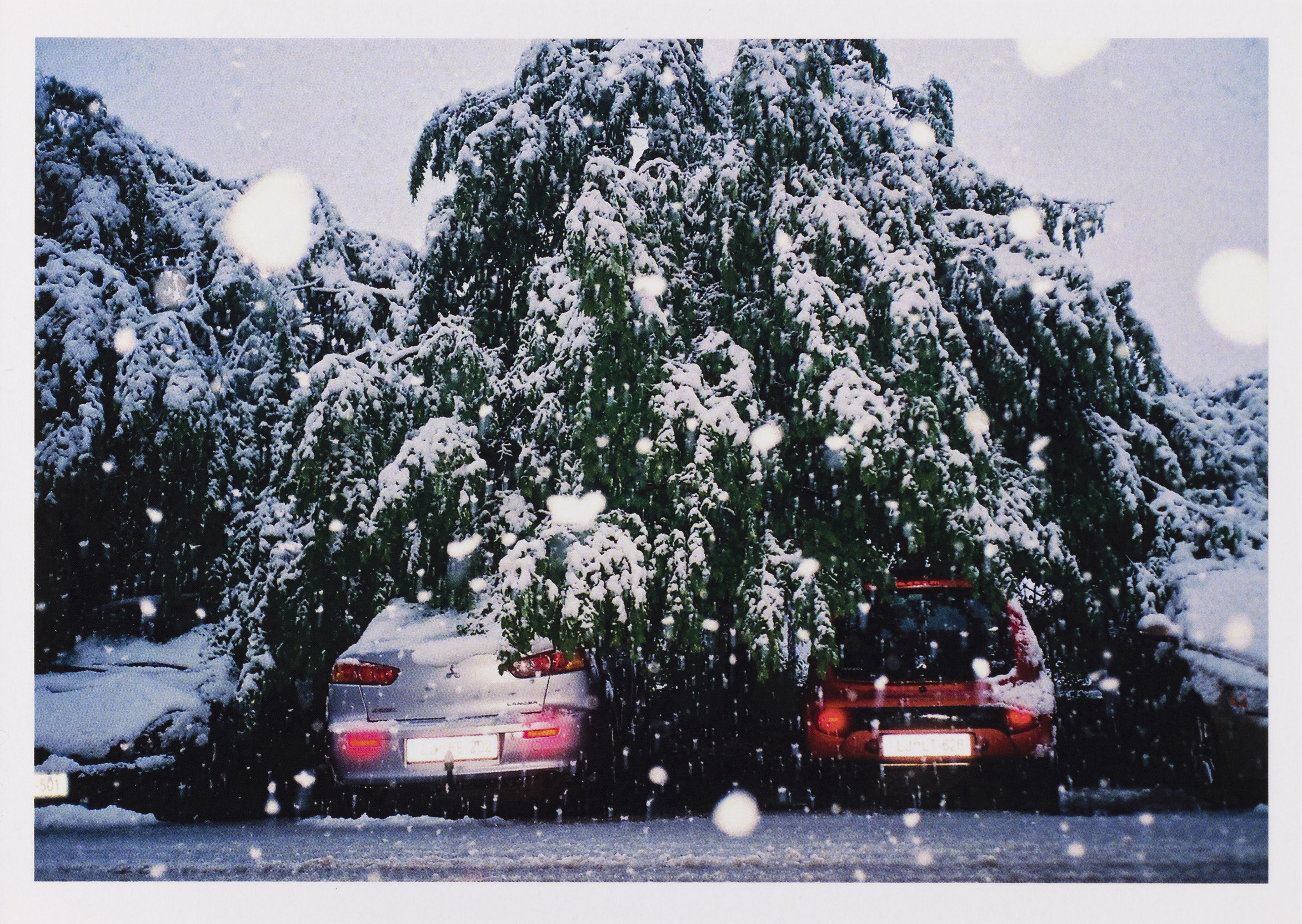 Najlepše mesto na svetu: Razglednica III