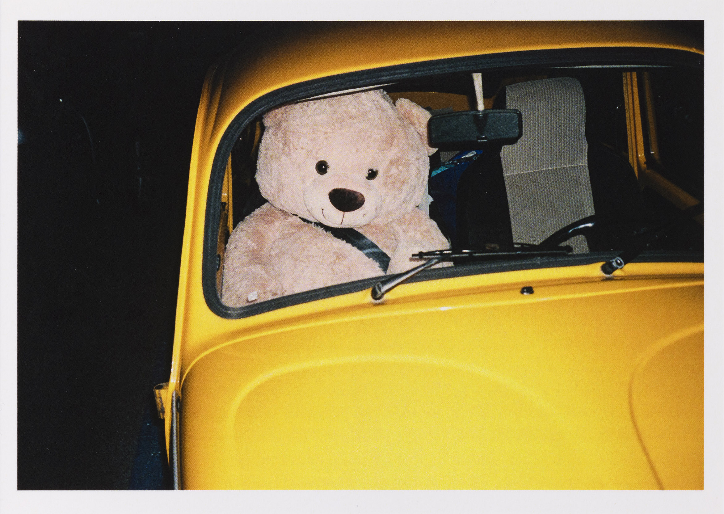 Najlepše mesto na svetu: Razglednica IX