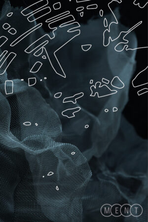 Neža Perovšek x Solo Ansamblis (appointMENT 4.0)