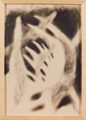 Ajda Kadunc: ...unmapping