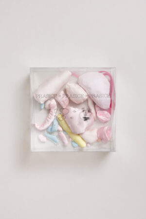 Ajda Podgorelec: Prasice -> prasice -> prasice