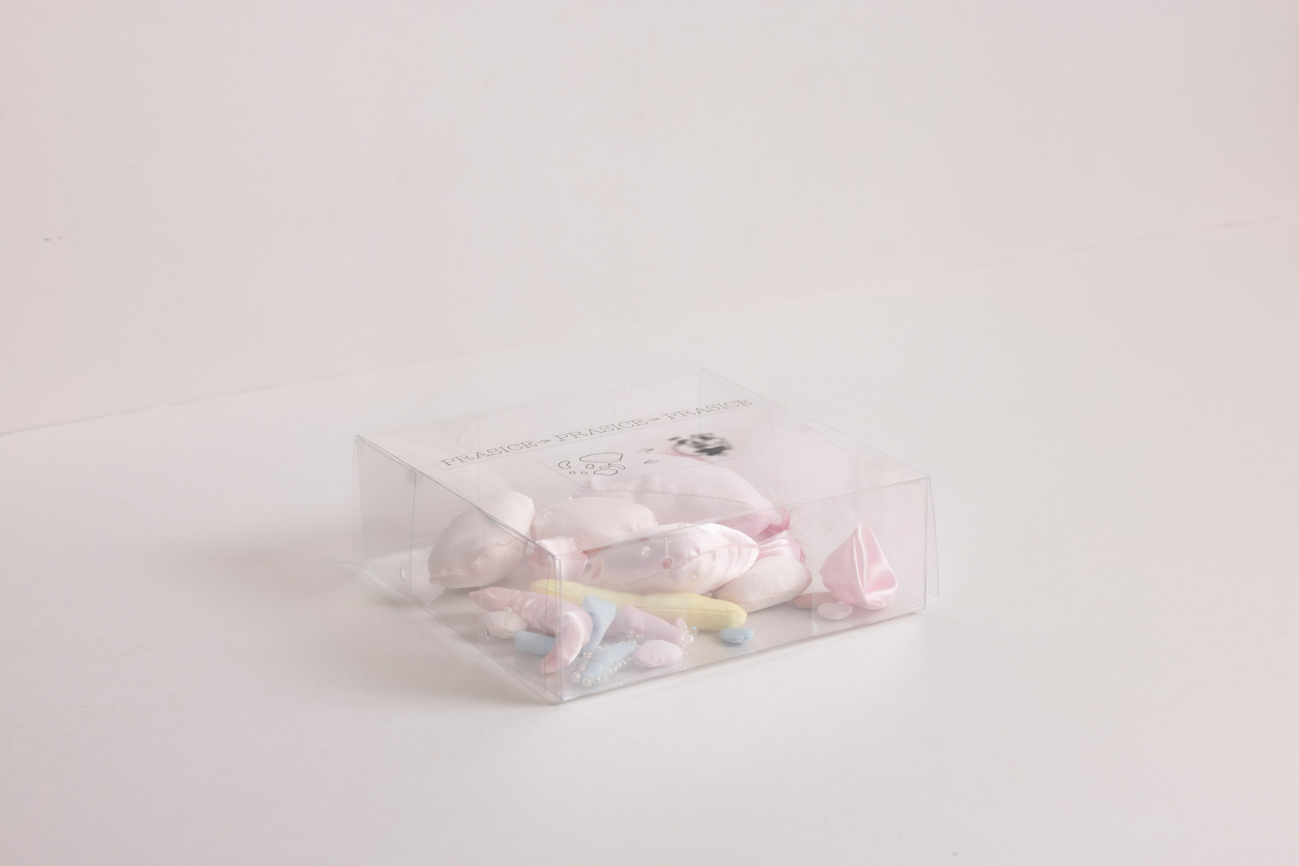 Ajda Podgorelec: Prasice -> prasice -> prasice - slika 2