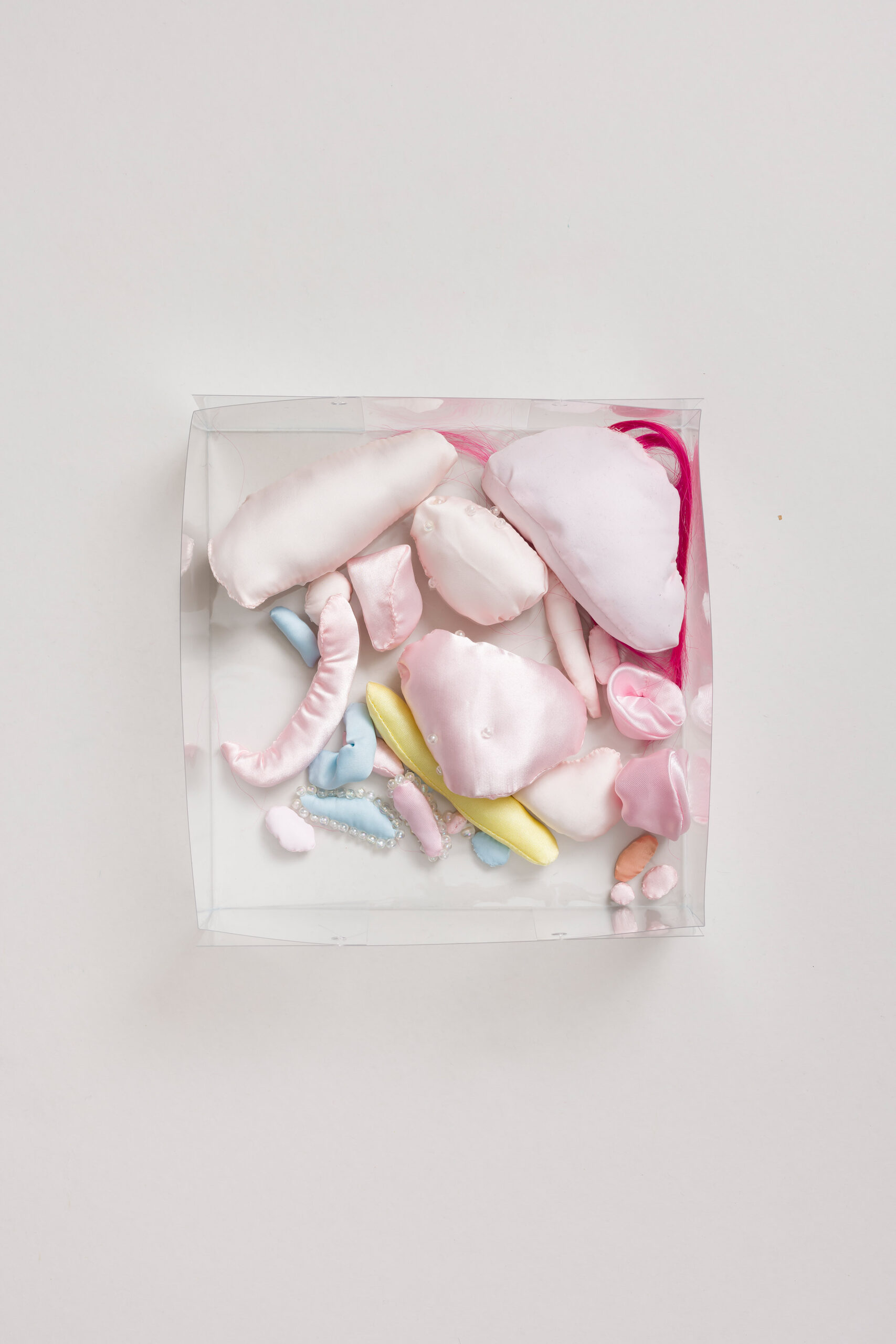 Ajda Podgorelec: Prasice -> prasice -> prasice - slika 3