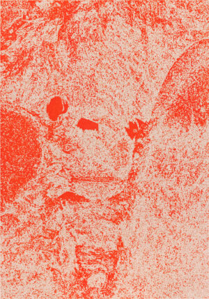 Ana Janež: Brez naslova