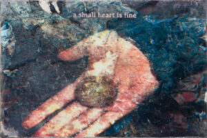 Anastazija Pirnat: Kivi