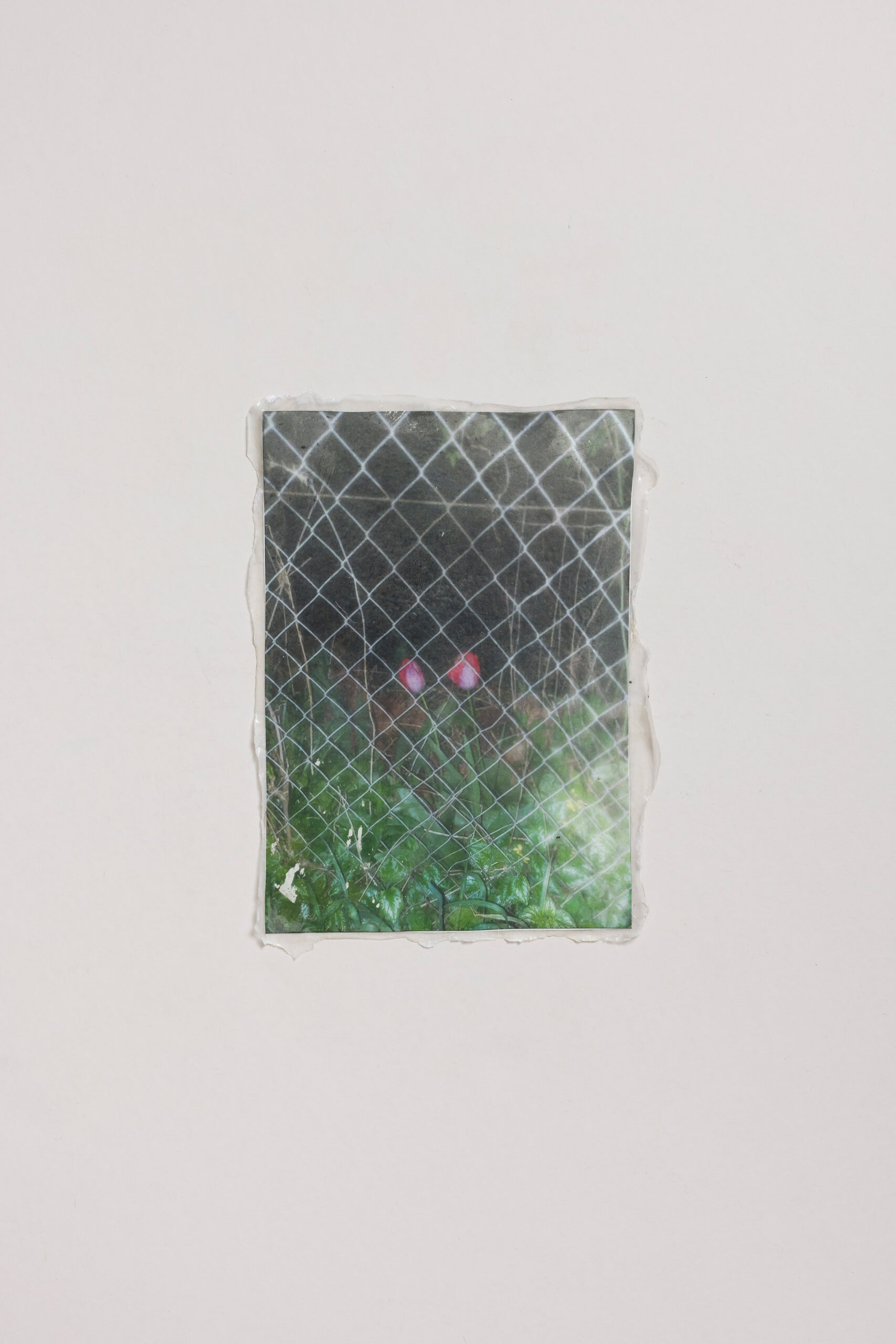 Anastazija Pirnat: Pravi način žalosti