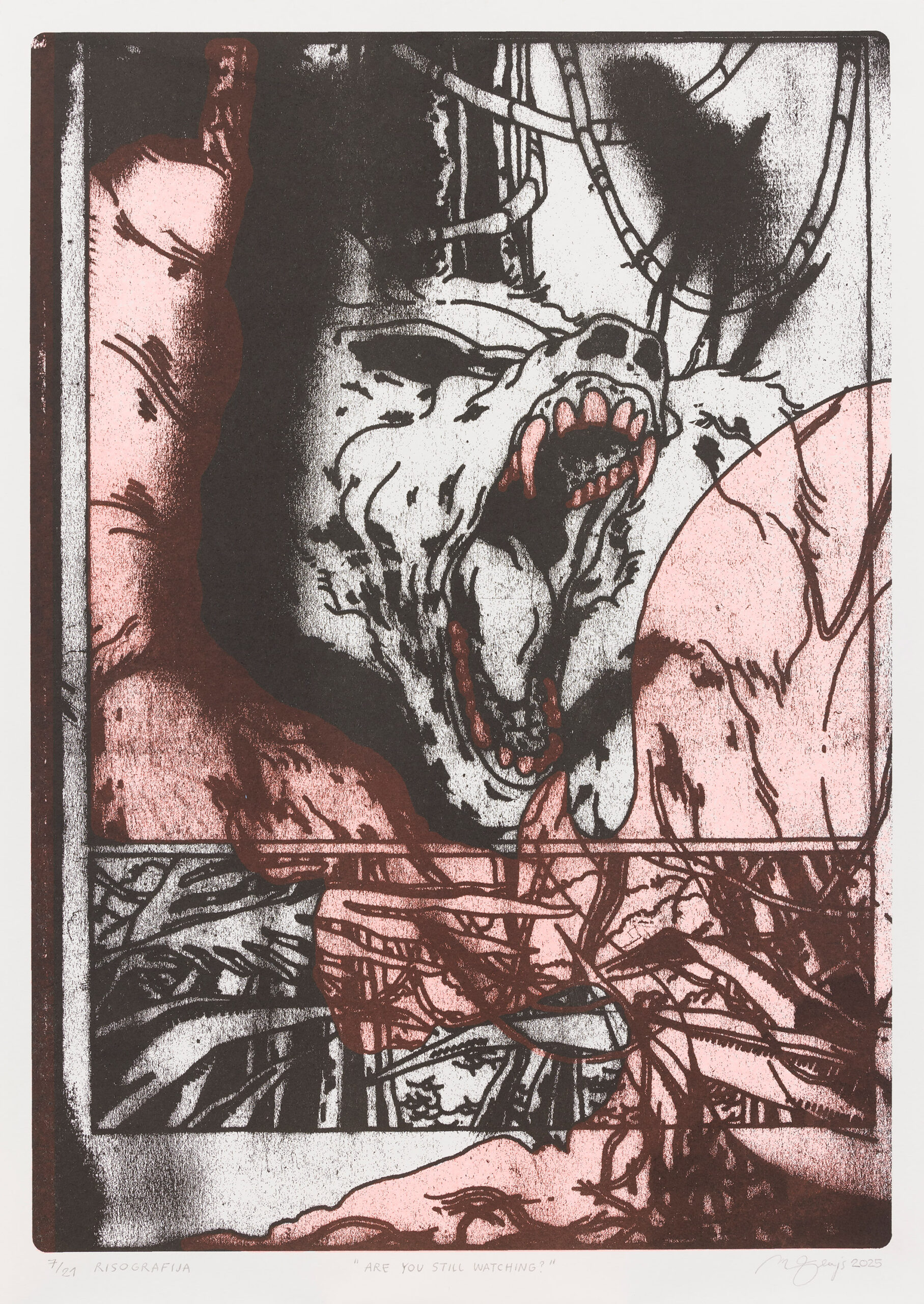 Matic Flajs: Are you still watching?