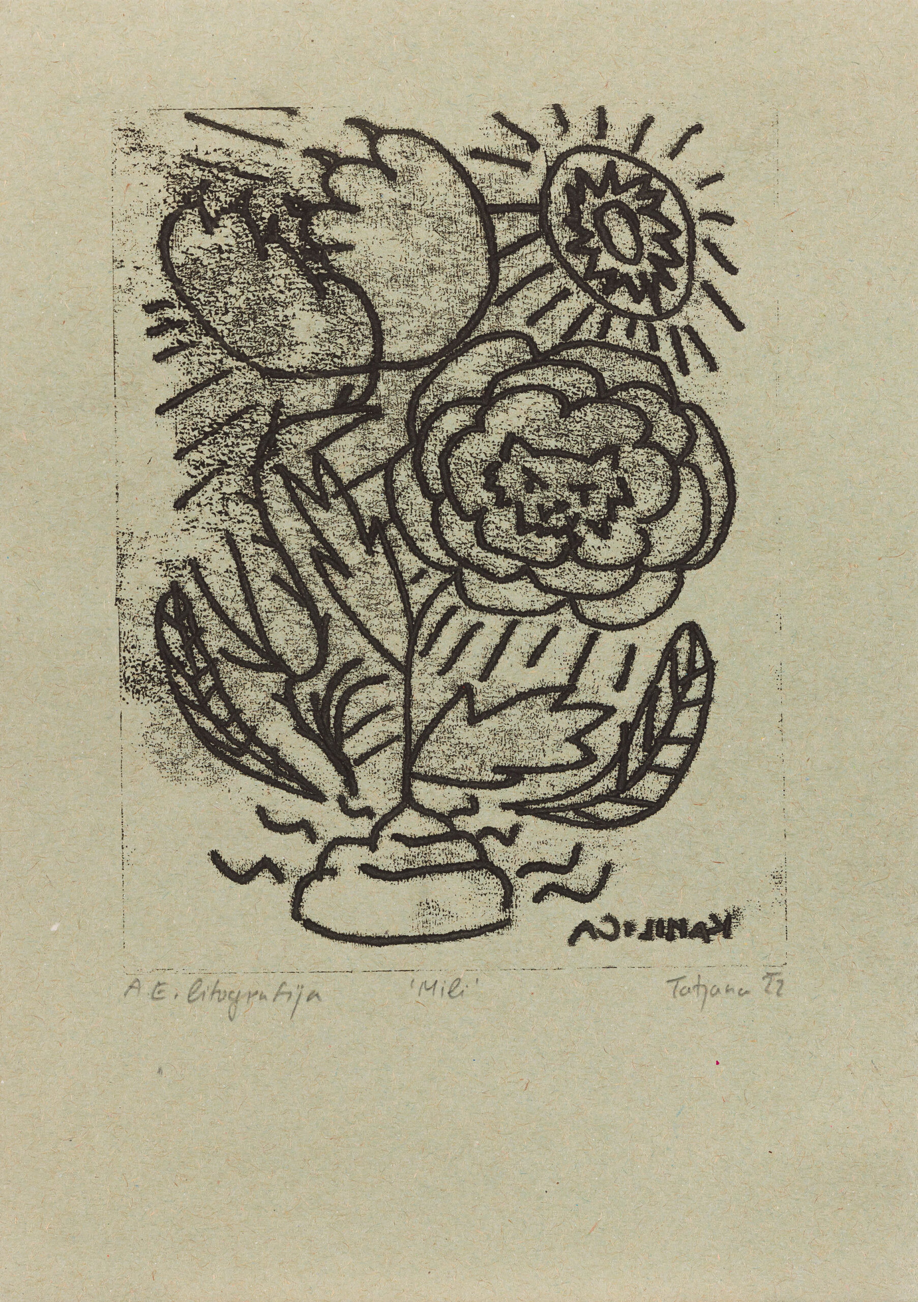 Tatjana Kotnik: Mili