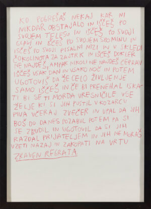 Zala Reberc: KO POGREŠAŠ