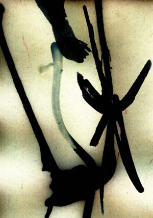 Ana Rogač x Falesia (AppointMENT 10.0)