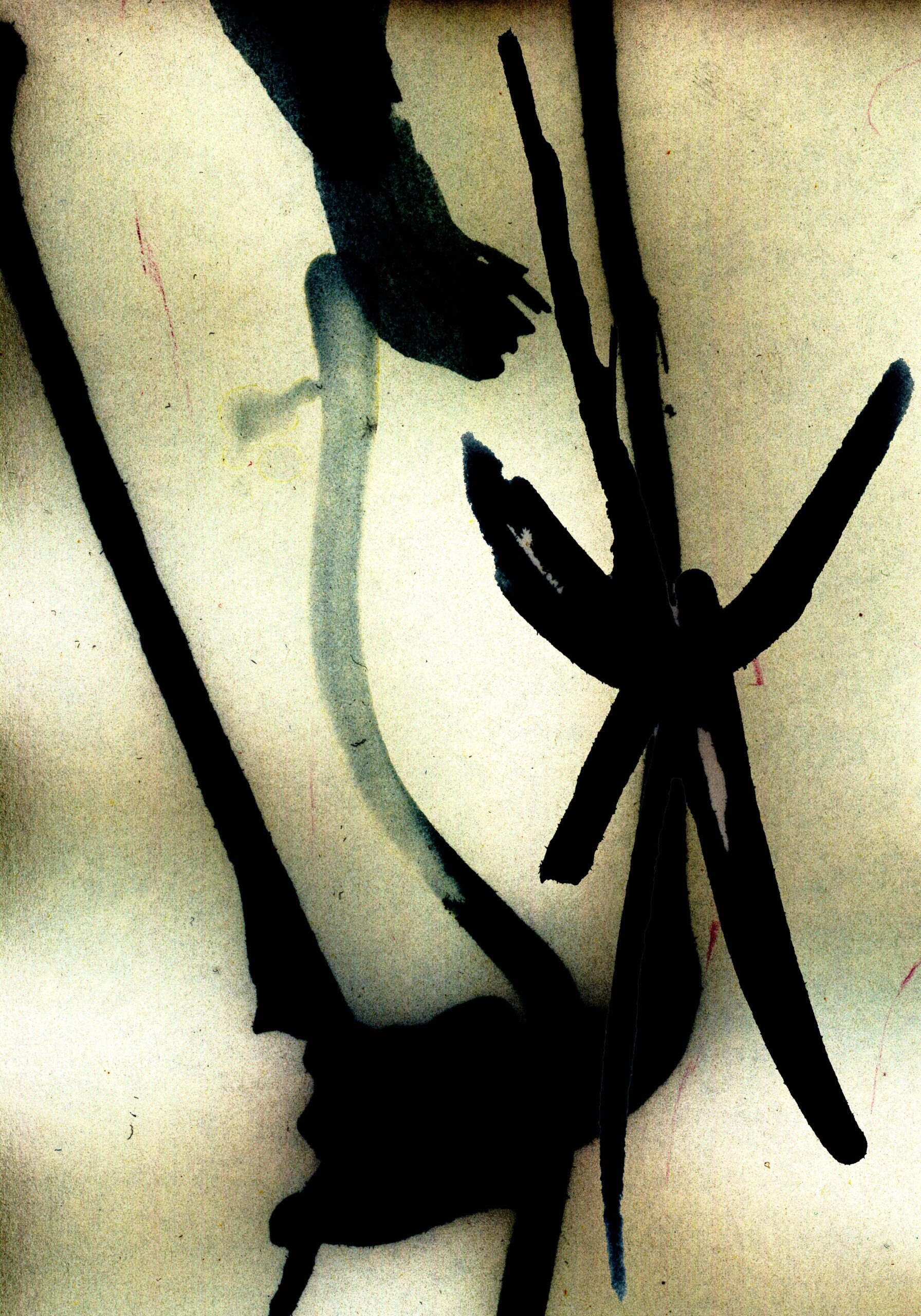 Ana Rogač x Falesia (AppointMENT 10.0)