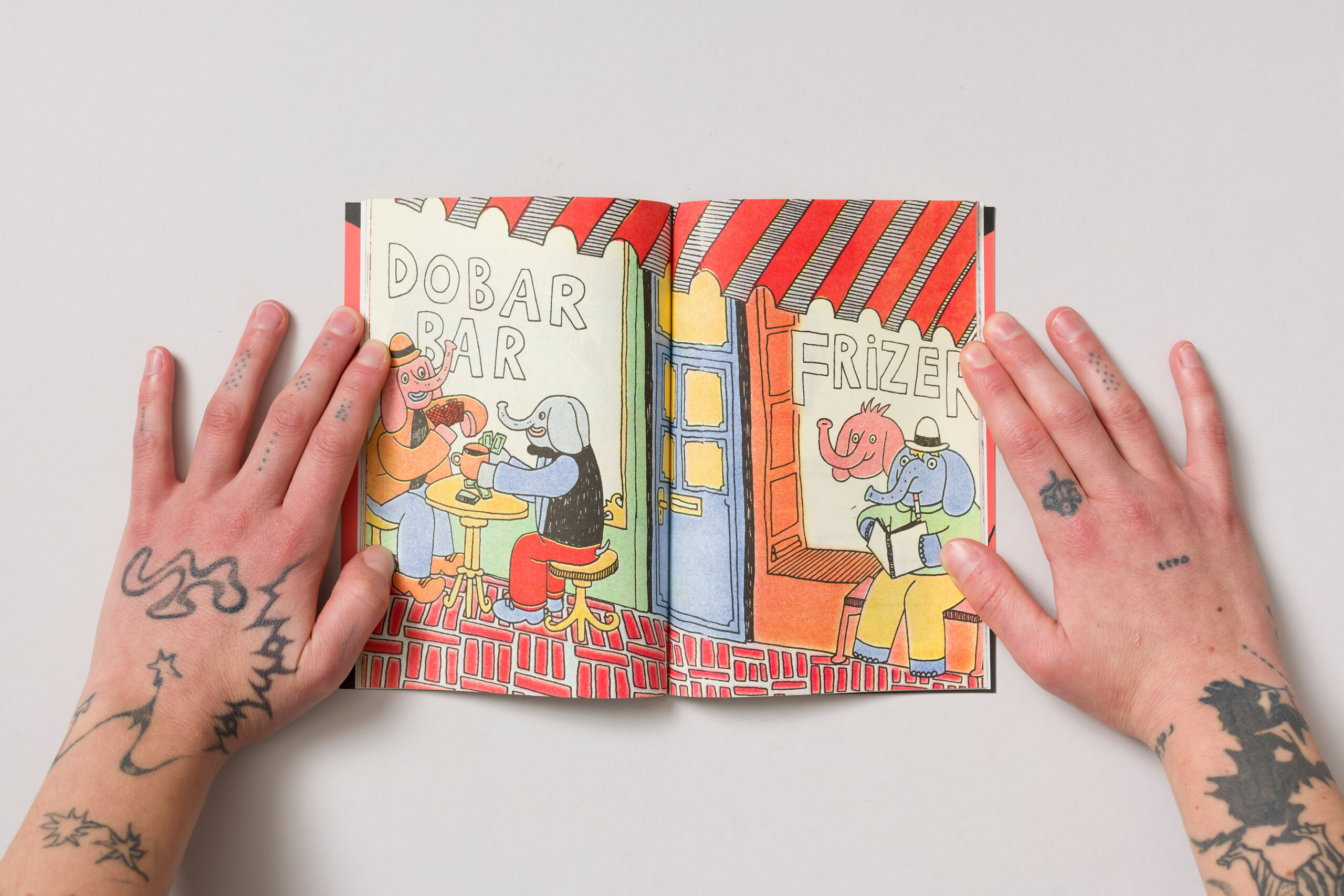 Erol Beširević: Što slonovi rade kad te nema doma - slika 3