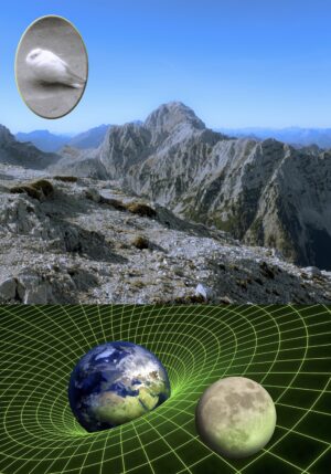 Eva Bevec x mala roza muca & pixel bambi (AppointMENT 10)