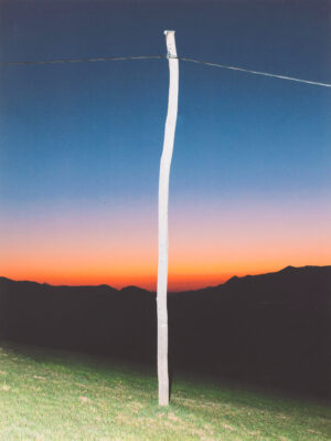 Jaka Teršek: Preden so me napadli psi