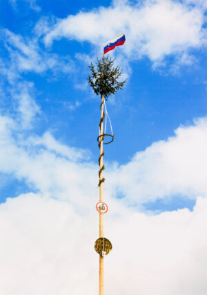 Lucija Rosc: Janez 60