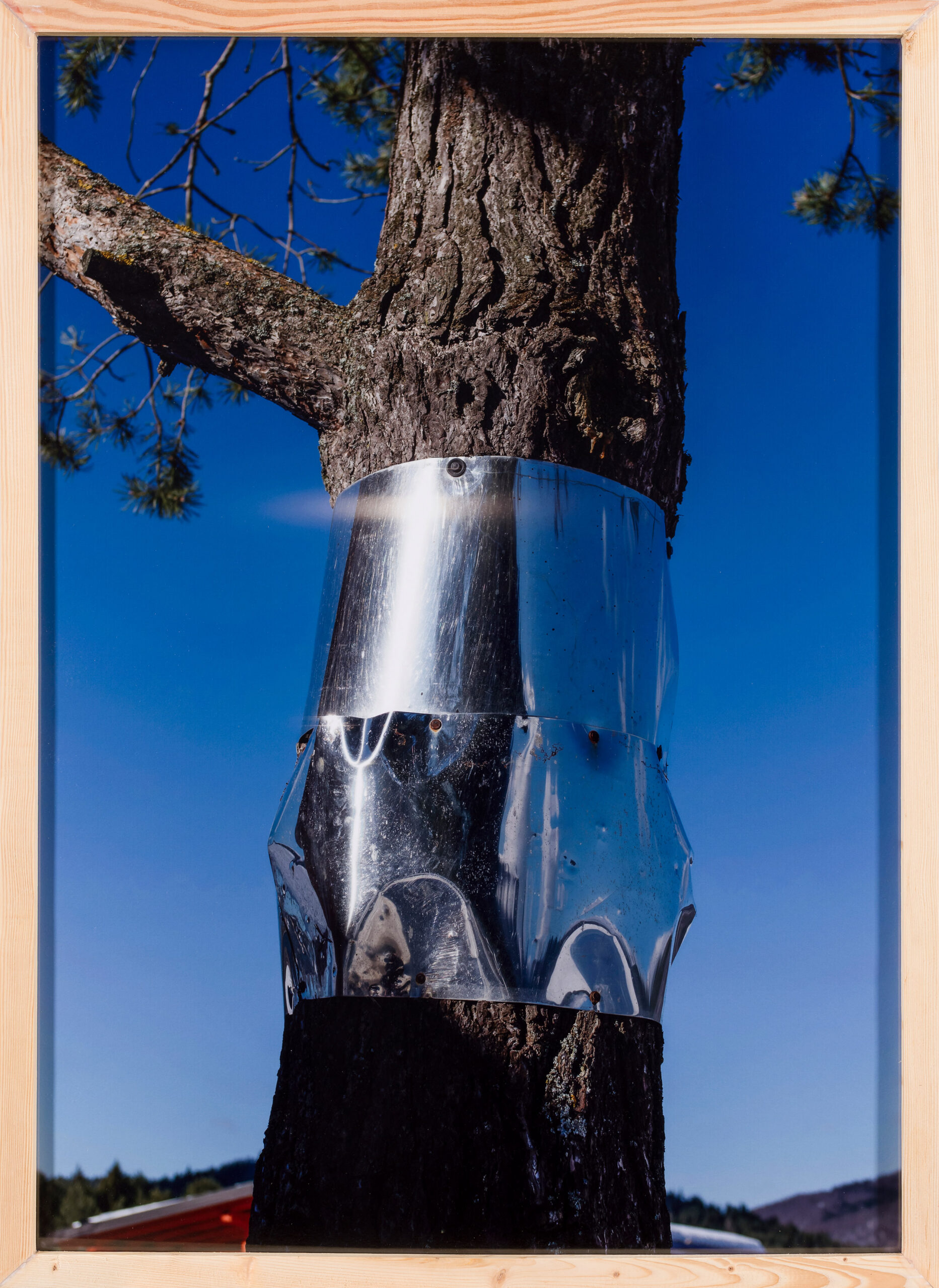 Markus Röder: Undisclosed Location 9 (z okvirjem)