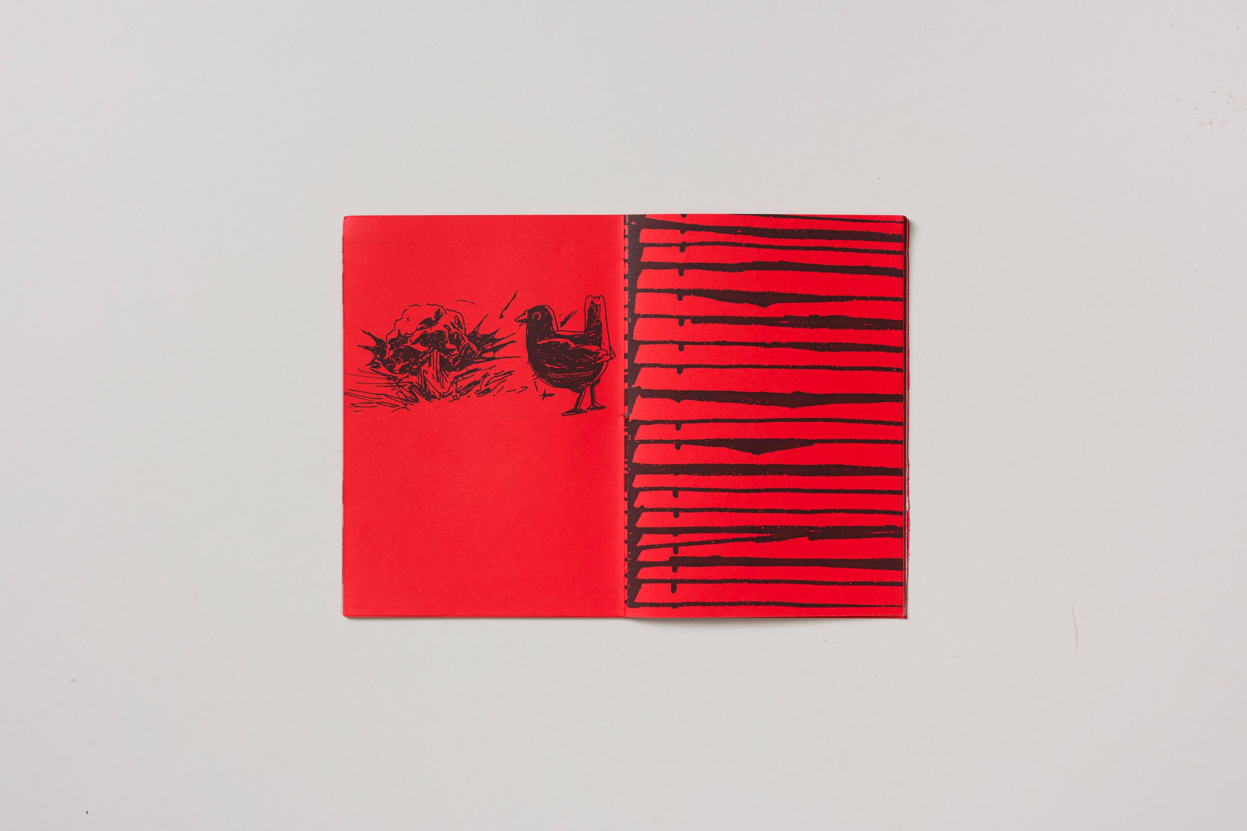 Nez Pez: On Decline - slika 2