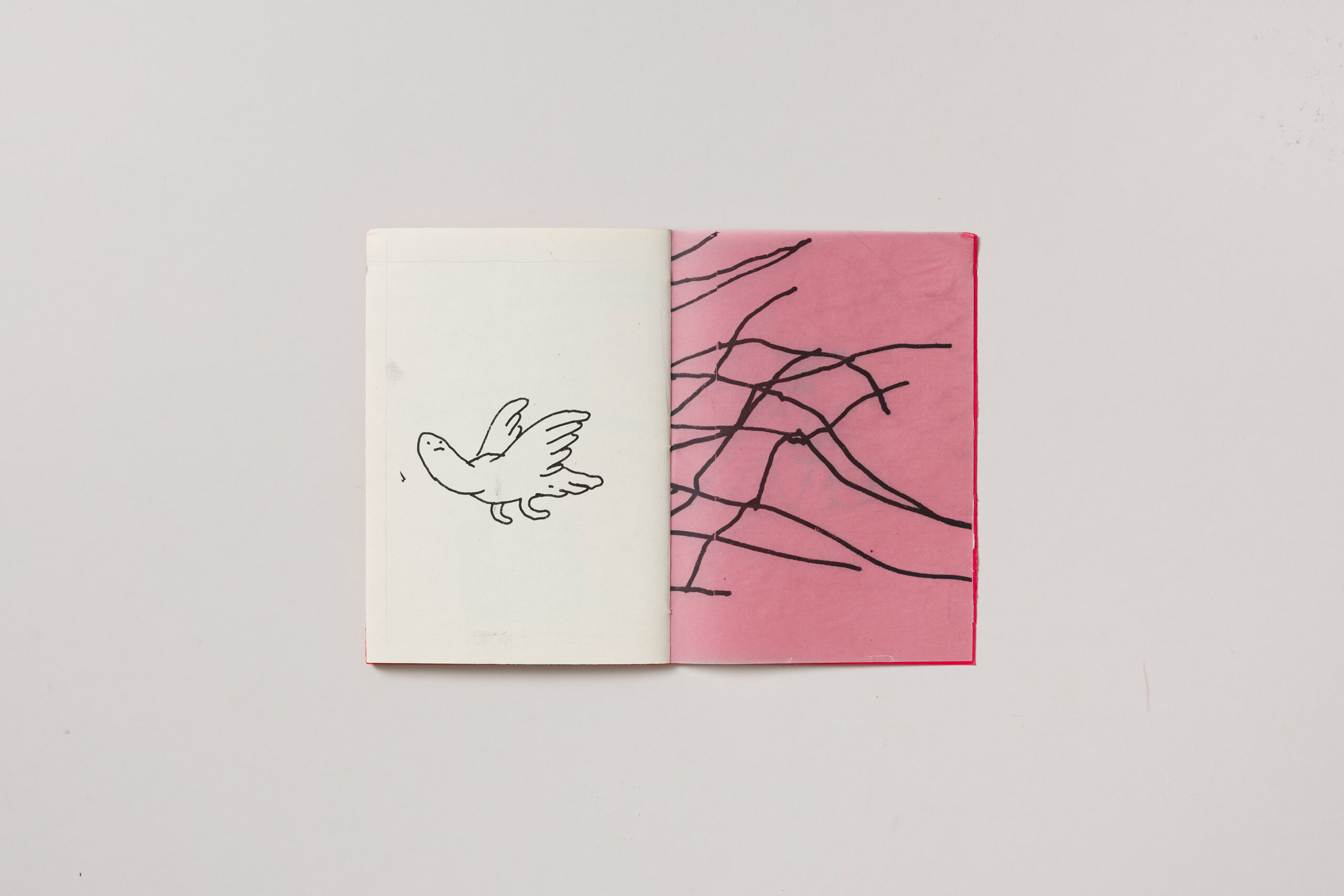 Nez Pez: On Decline - slika 3