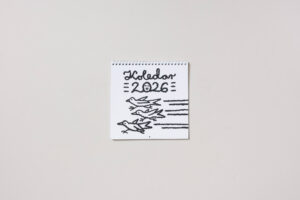 Peter Ferlan: Ptice (koledar)