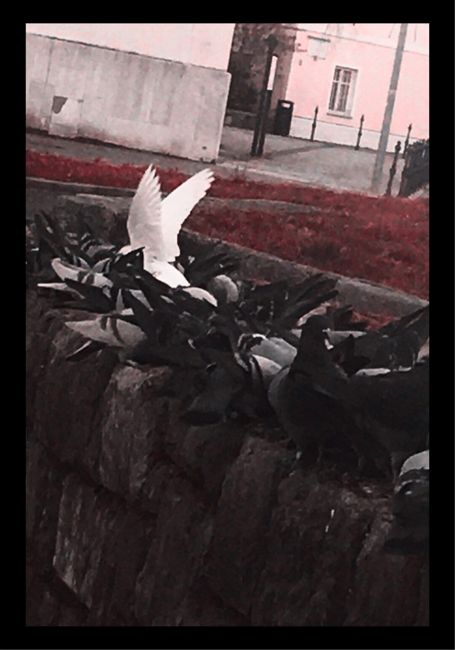 Sara Skenderija x iT (AppointMENT 10.0)