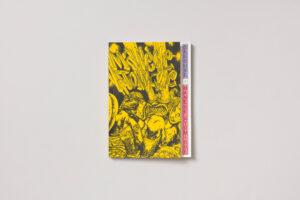 Segoube: Manège Atomique