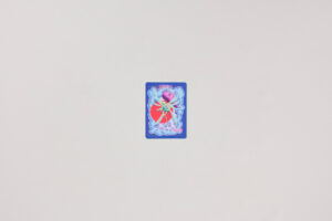 Tinkara Kovačič: faerie 2