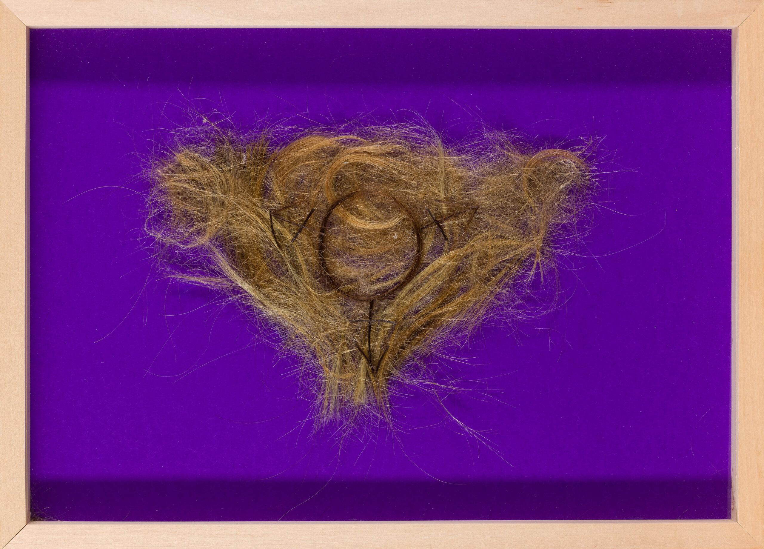 Urša Rahne x Scissoring hair x Gaja Pegan Nahtigal: Bush #1