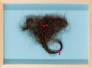 Urša Rahne x Scissoring hair x Gaja Pegan Nahtigal: Bush #3